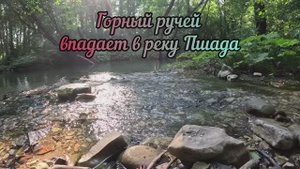 Горный ручей впадает в реку Пшада АСМР ASMR звук ручья пение птиц