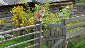 Зачем Бог дал нам эту коротенькую жизнь Святитель Феофан Затворник.