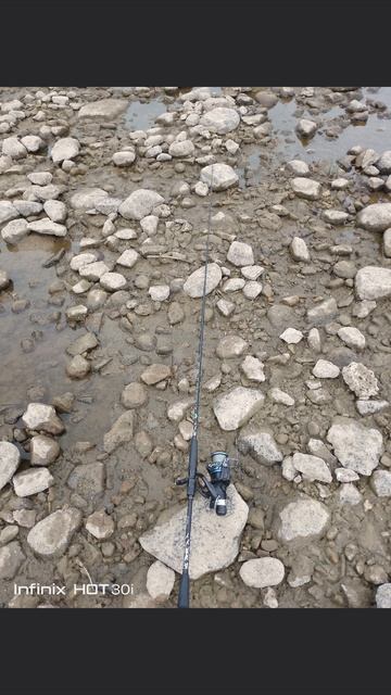 2025-08-07 смотреть онлайн