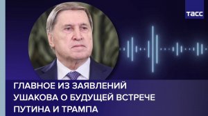 Главное из заявлений Ушакова о будущей встрече Путина и Трампа