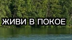 живи в покое