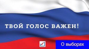 Наиболее популярные мифы о избирательном праве