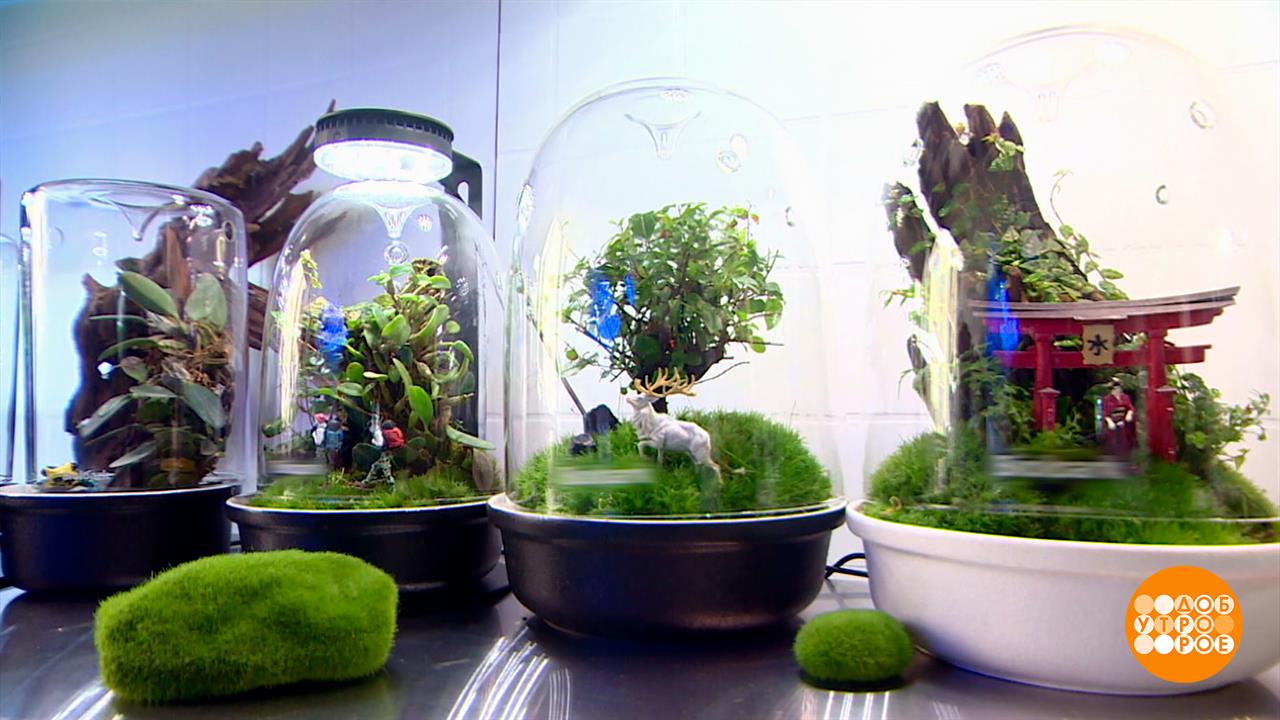 Мое дело - создавать микромиры. Доброе утро. Фрагмент выпуска от 07.08.2025