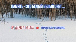 Песня - Память это белый белый снег © Дамир Галеев 1982