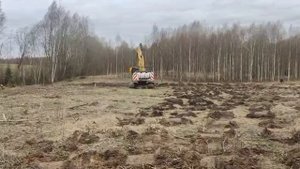 Посадочная головка Risutec SKB-160 в работе — профессиональное решение для восстановления леса🌿