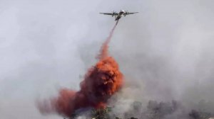 Лесные пожары во Франции. Огонь оставил без света более 2,5 тысячи хозяйств