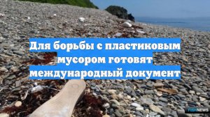 Для борьбы с пластиковым мусором готовят международный документ