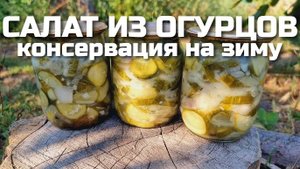САЛАТ ИЗ ОГУРЦОВ С ЛУКОВ на зиму! Закуска из переросших огурцов! Он у вас закончится первым! Огурцы!