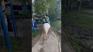 Лыткино horse show