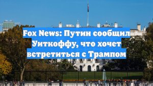 Fox News: Путин сообщил Уиткоффу, что хочет встретиться с Трампом