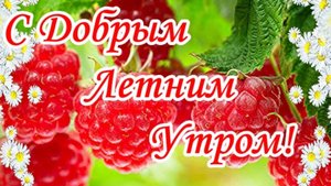 С добрым летним утром!