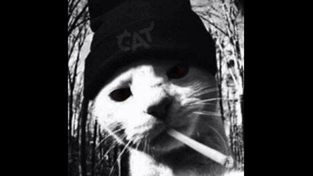 DJ MTR, Бонни Карпов - Кислота смотреть онлайн