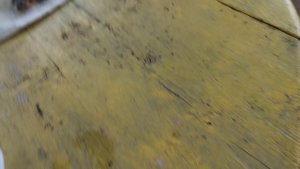 1000068066.mp4