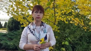 Гинкго билоба_20