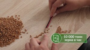 НПХ Кубань 2025