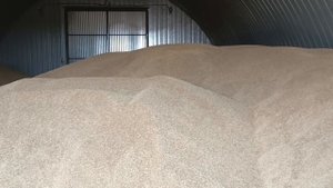 обстановка с продажей зерна
