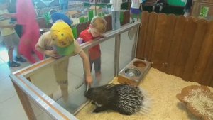 Трогательный зоопарк. Пушистые и не очень жители.