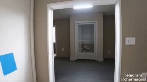 Genie 3 на русском: Создание динамичных миров, по которым можно перемещаться в реальном времени.