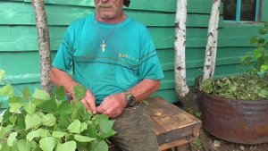 Берёзовый веник от Петровича