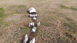 Павел Макаров | ТОЧКА.РФ – МЕСТО | г. Москва