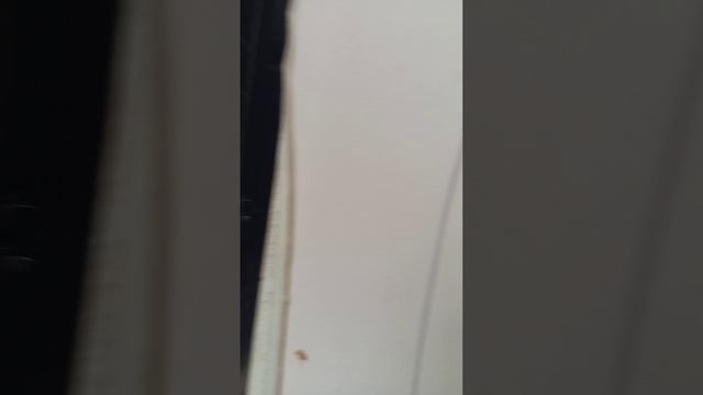 что то страшное у меня дома!!!