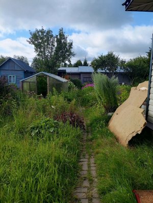 Дачный участок