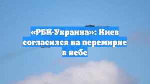 «РБК-Украина»: Киев согласился на перемирие в небе
