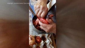 Как подготовить гладиолусы к весенней посадке, после зимы и как хранить гладиолусы