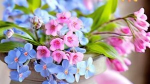 Прекрасного чудесного дня - Видео откытка