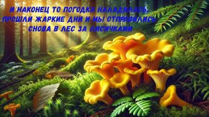 Август. Грибов навалом,рядом родник,крупные лисички порадовали,на ужин картошка с грибами!!!