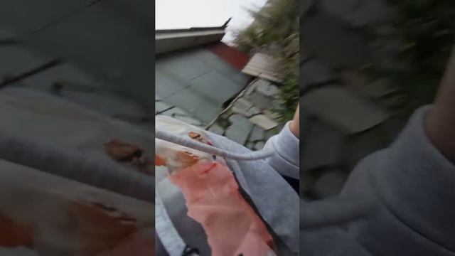 . смотреть онлайн