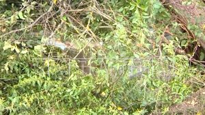 Дом полностью провалился под землю после затопления Арзамаса ливневыми дождями