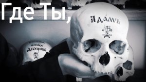 Фильм "Пропавший Адам"