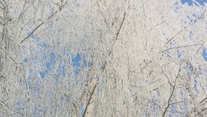 Зима 2021, 2022. Авторское видео .