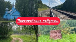 Киров:√ Борщевик все заполонил| Концерт в день ВДВ| Осталась одна