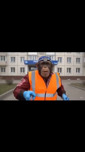 Свидание в ресторане Палкин смотреть онлайн