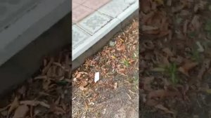 Мы на рыбалке