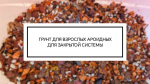 ГРУНТ ДЛЯ ВЗРОСЛЫХ АРОИДНЫХ ДЛЯ ЗАКРЫТОЙ СИСТЕМЫ