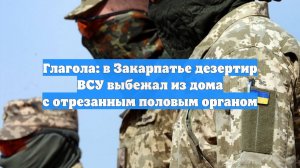 Глагола: в Закарпатье дезертир ВСУ выбежал из дома с отрезанным половым органом