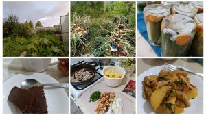 Домашние дела...