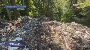 На территории бывшего детского лагеря в Подмосковье появилась свалка мусора / Город новостей на ТВЦ