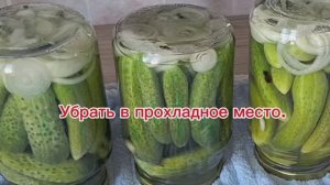 Маринованые огурчики по болгарски.