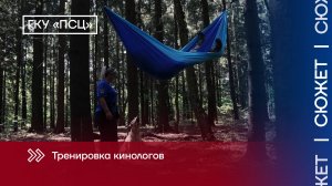 Как тренируют поисковых собак в столице