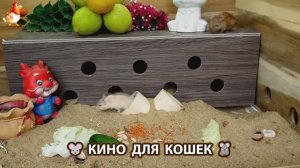 Видео для кошек про крысок развлекать питомцев 🐭🐀😂 (256)