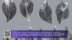 ДАЙДЖЕСТ «СЕВЕРНОГО ГОРОДА»,07.08.2025