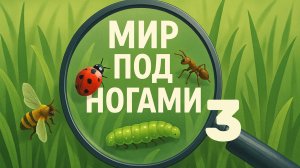 "Мир под ногами", выпуск №3