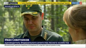 Глава Рослесхоза в интервью рассказал о продлении федерального проекта «Сохранение лесов»