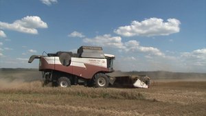 В Красногвардейском районе завершается уборка ранних зерновых культур