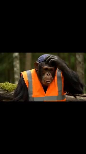 Как собирать мед смотреть онлайн