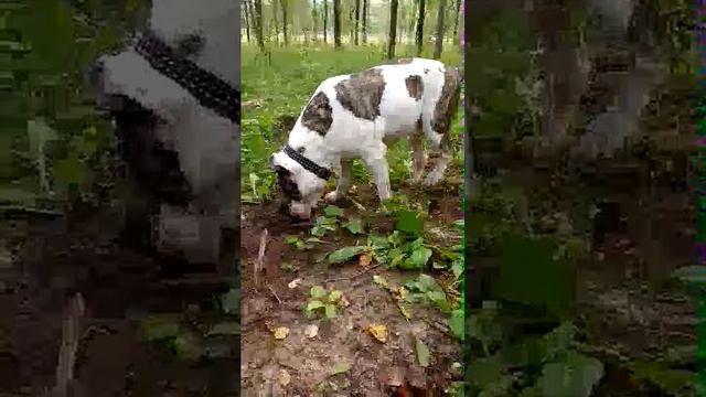 07-08-2025 смотреть онлайн